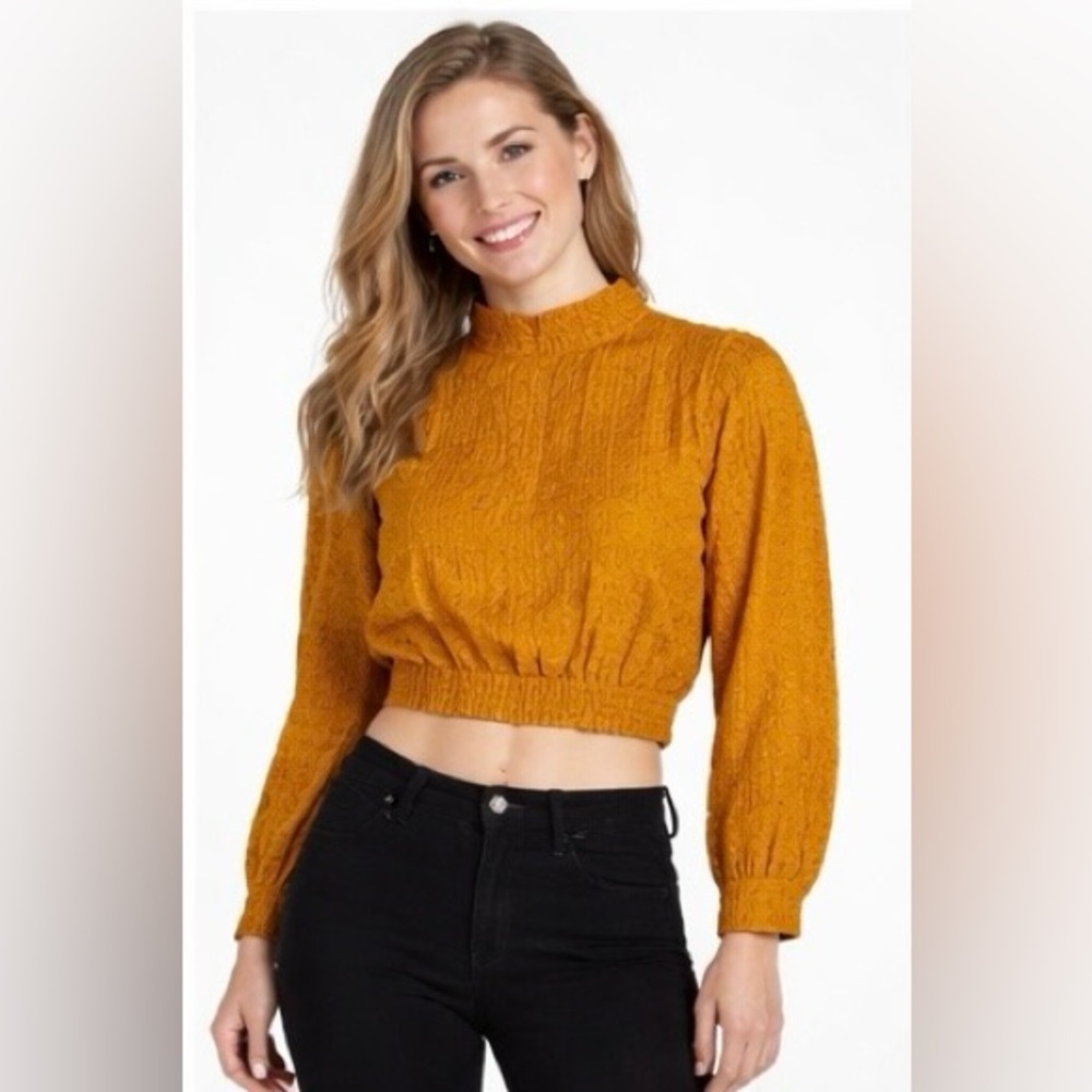 💛 NWOT! House of Harlow Velvet Checkered Cropped Blouse